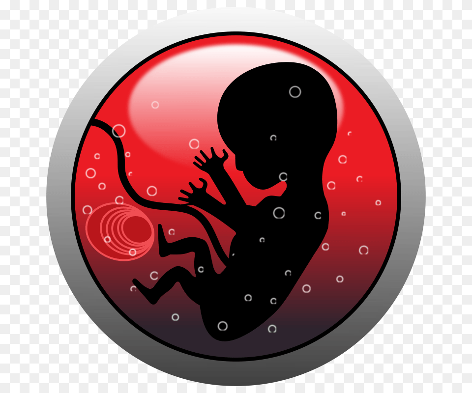 Human Embryo Silhouette, Baby, Person Free Png