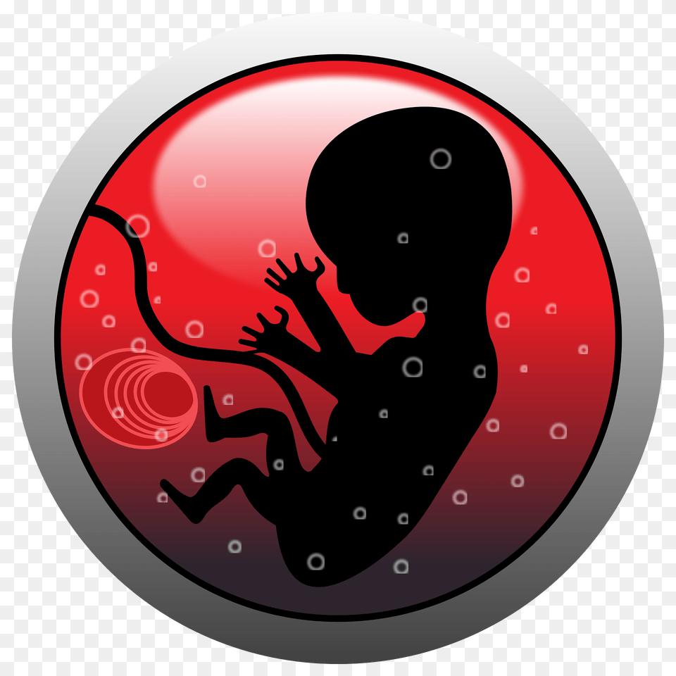 Human Embryo Silhouette Clipart Free Png Download