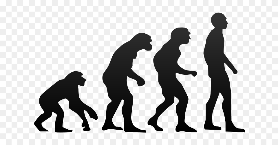 Human Evolution, Silhouette, Person, Head, Lighting Free Transparent Png