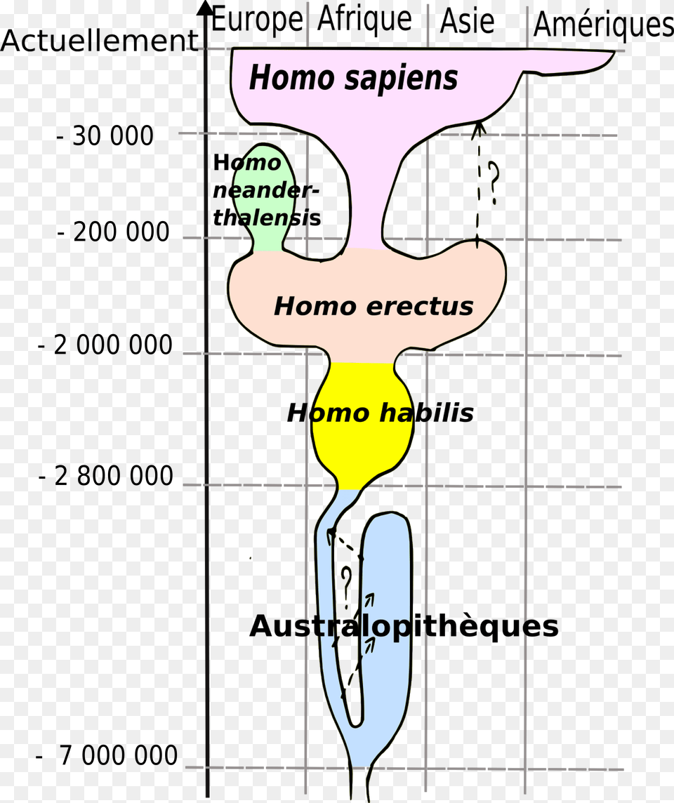 Human Evolution Current Model For Human Evolution, Chart, Plot, Smoke Pipe, Diagram Png Image