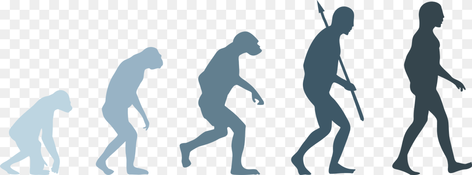 Human Evolution Evolution Of Man, People, Person, Silhouette, Adult Png Image
