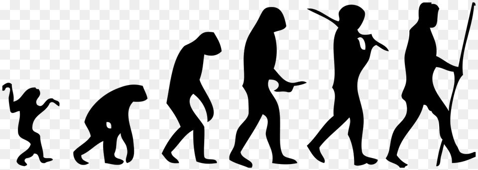 Human Evolution Scheme, Gray Free Png