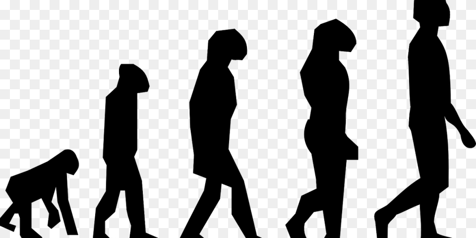 Human Evolution Silhouette, Gray Png Image