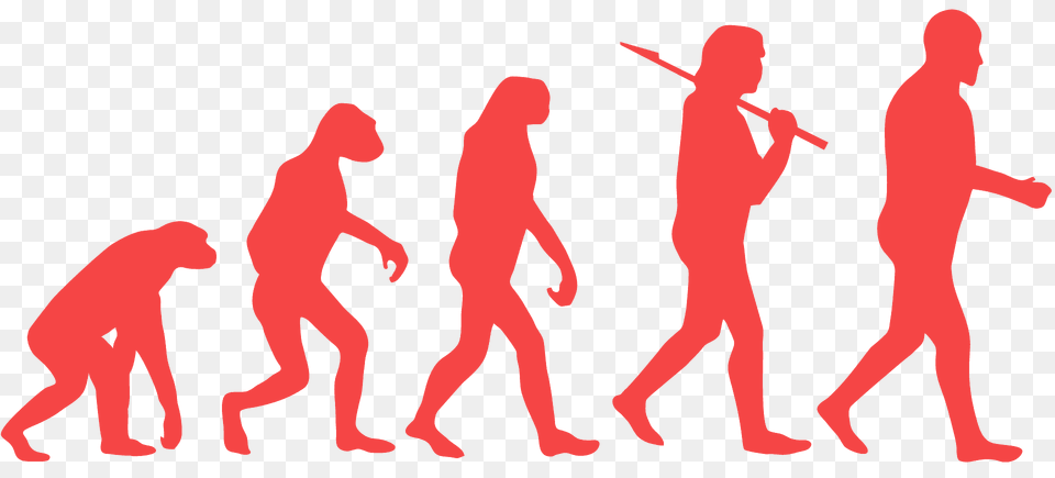 Human Evolution Silhouette, Person, Adult, Man, Male Free Png