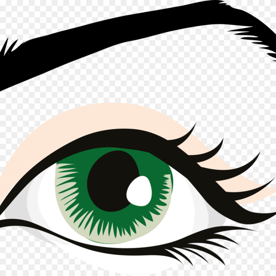 Human Eye Clip Art Clipart Download, Graphics, Drawing Free Transparent Png