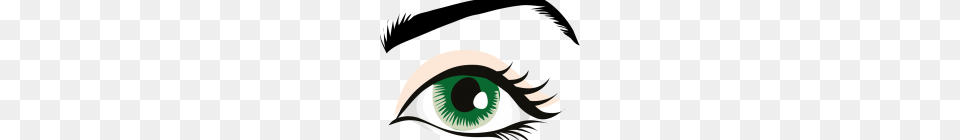 Human Eye Clip Art Human Eye Eyebrow Eyelid Organ, Graphics Png Image