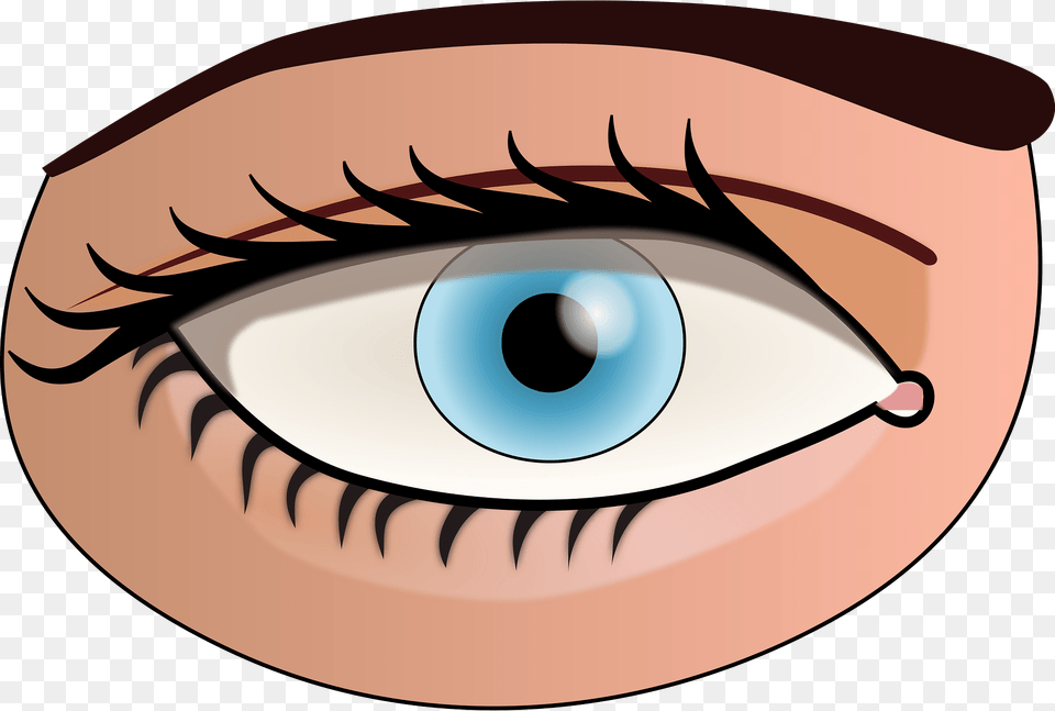 Human Eye Clipart, Contact Lens, Disk Png