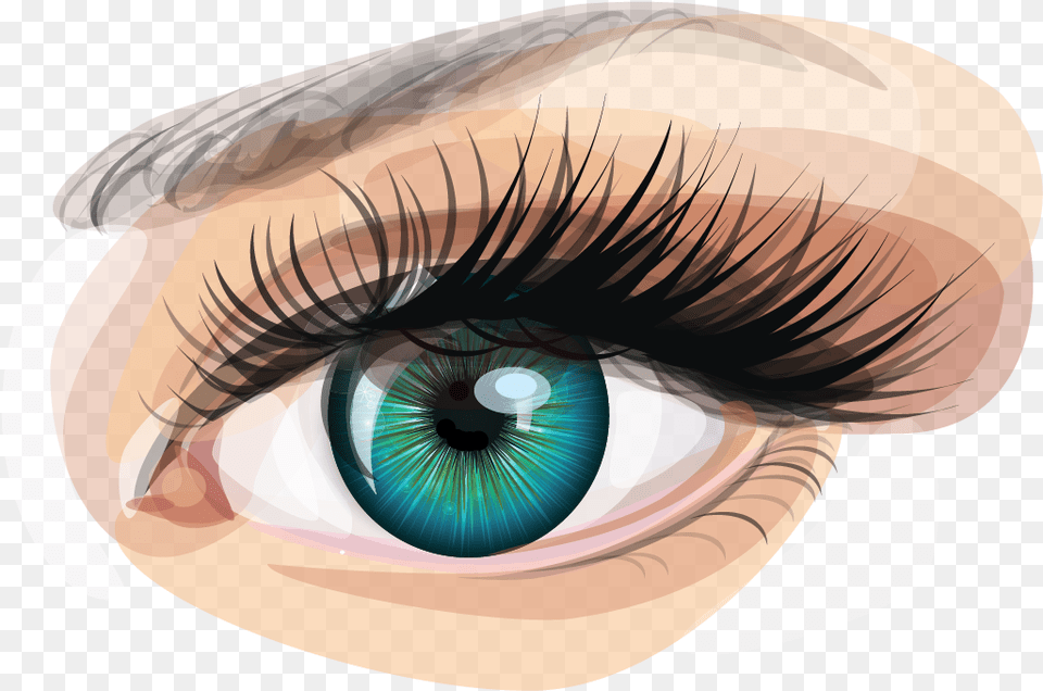 Human Eye Euclidean Vector Clip Art Eyes Vector, Contact Lens, Adult, Female, Person Png