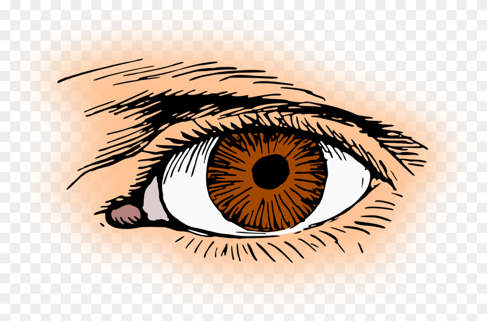 Human Eye Eye Clip Art, Contact Lens, Person, Drawing Free Transparent Png