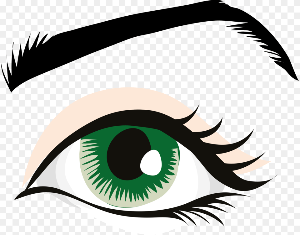 Human Eye Eyebrow Eyelid Organ, Art, Graphics, Drawing, Animal Png Image