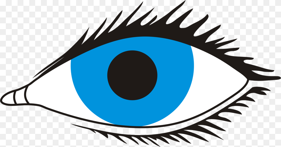 Human Eye Visual Perception Eyelash Iris Eye With No Background, Art, Graphics, Outdoors, Animal Free Png Download