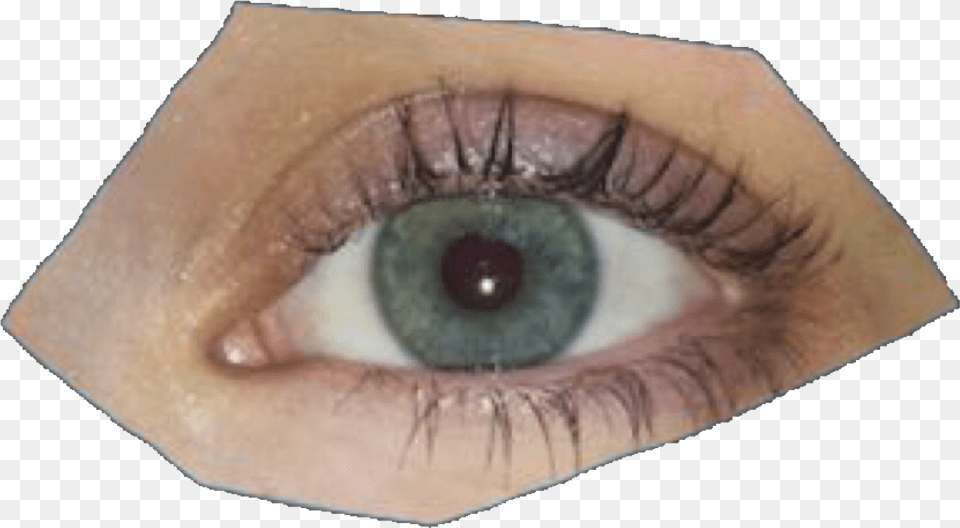 Human Eyes, Contact Lens, Person Png