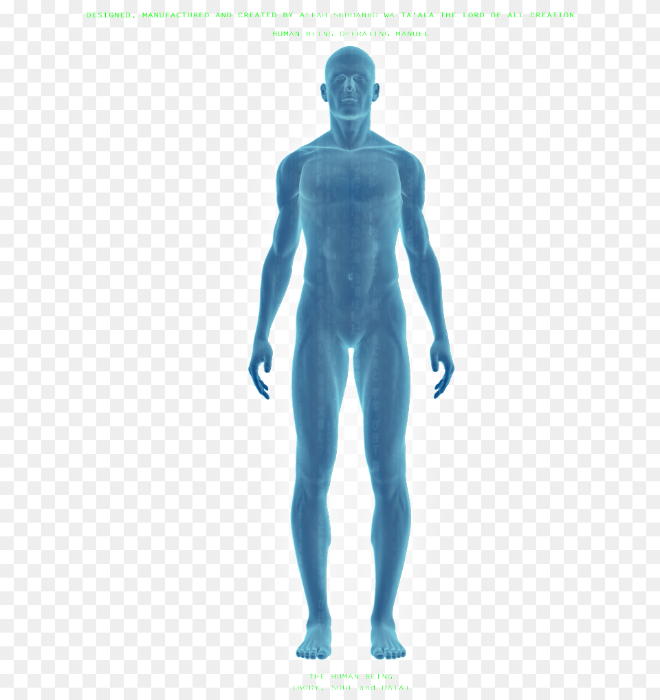 Human Figure Negative Emotions And Our Health, Adult, Male, Man, Person Free Transparent Png