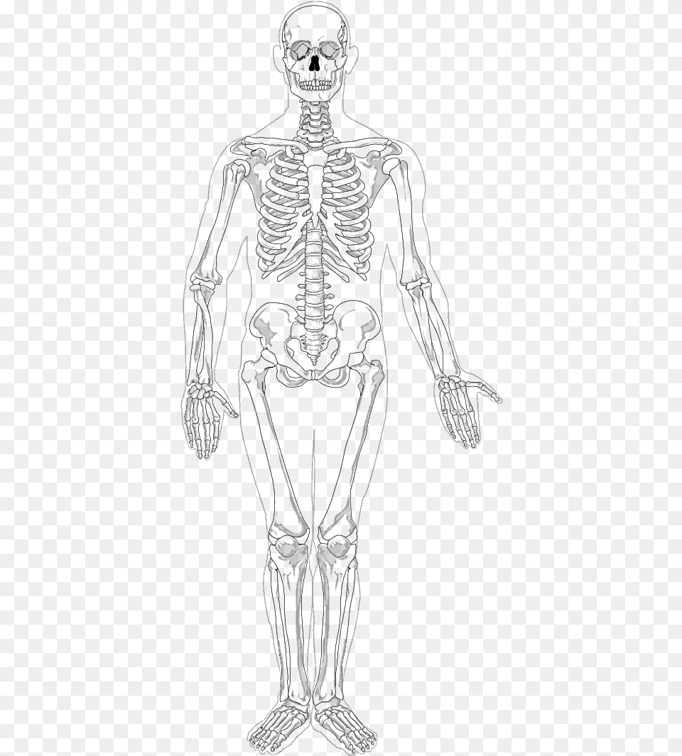 Human Full, Gray Png