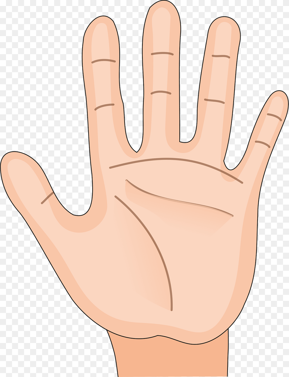 Human Hand Palm Side Clipart, Body Part, Clothing, Finger, Glove Free Png Download