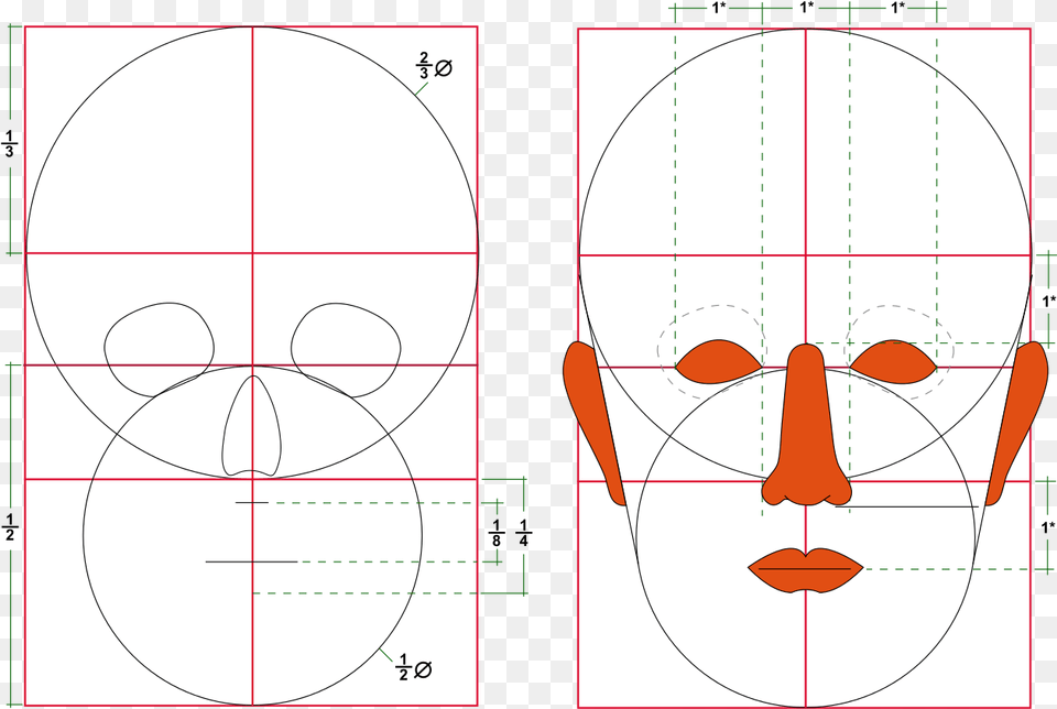 Human Head Size Free Png