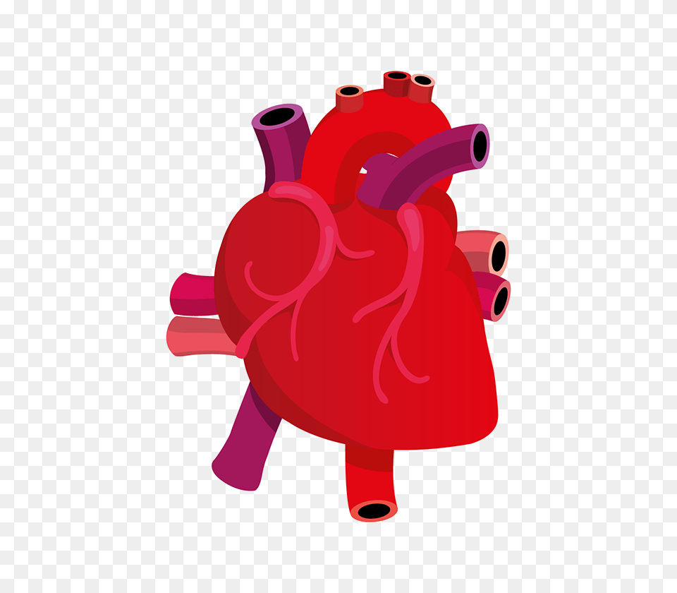 Human Heart, Pottery, Cookware, Pot, Dynamite Free Transparent Png