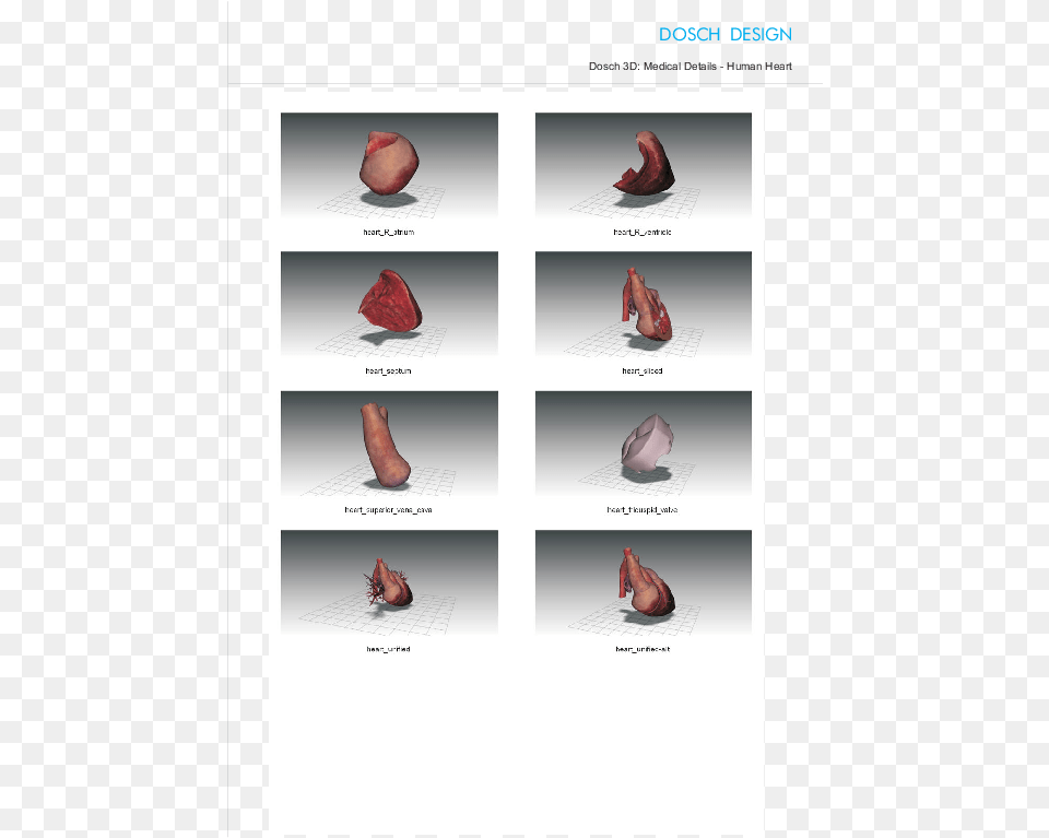 Human Heart, Clothing, Footwear, Shoe, Person Free Transparent Png