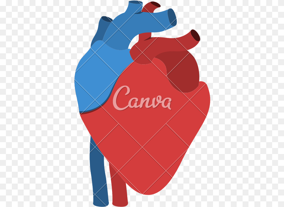 Human Heart Anatomy Isolated Icon Design, Person, Bag Png