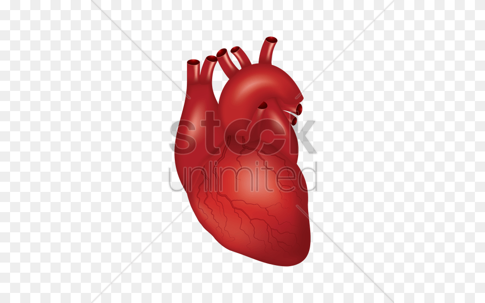 Human Heart Cartoon, Clothing, Glove, Dynamite, Weapon Png Image