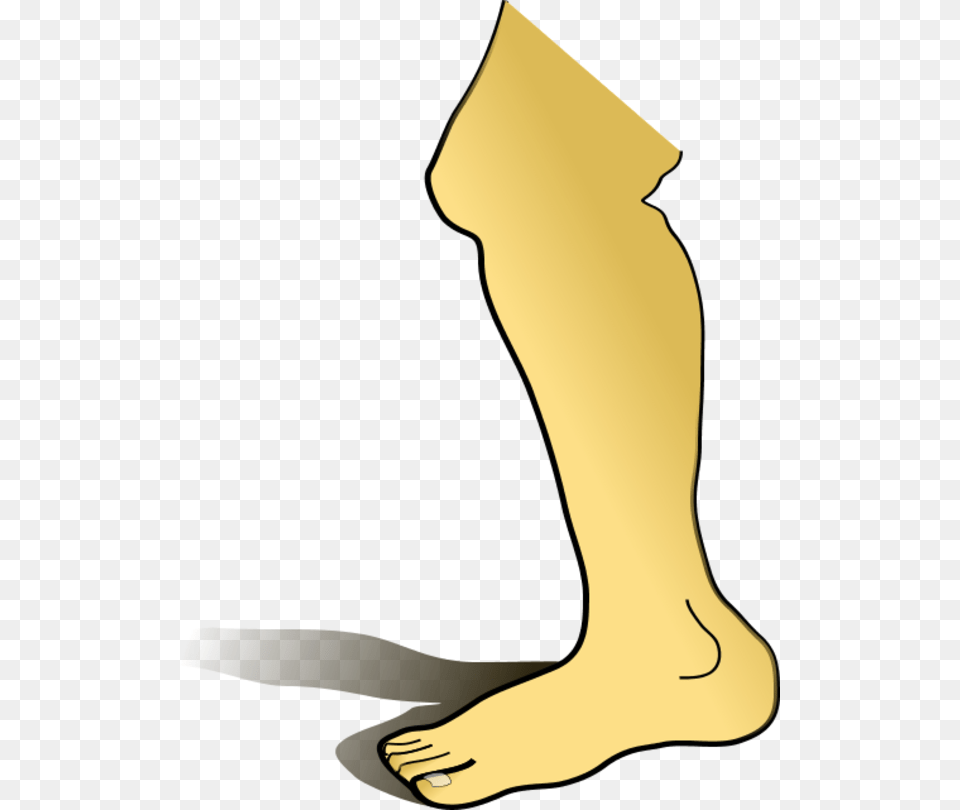 Human Heart Clip Art, Ankle, Body Part, Person, Adult Free Png Download