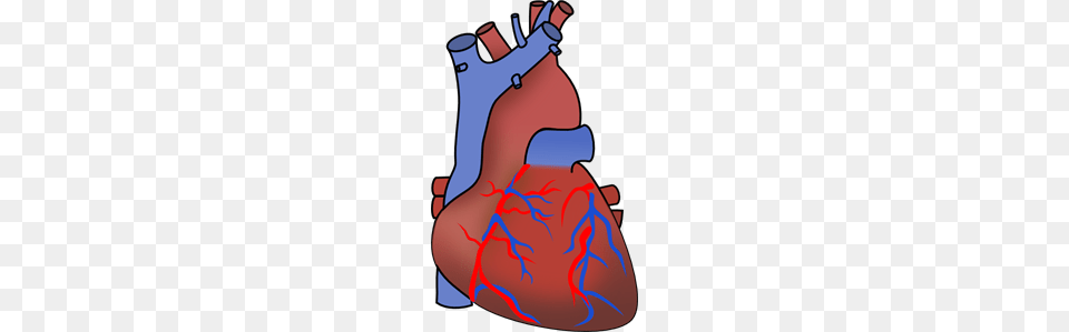 Human Heart Clip Art For Web, Body Part, Stomach, Dynamite, Weapon Png Image