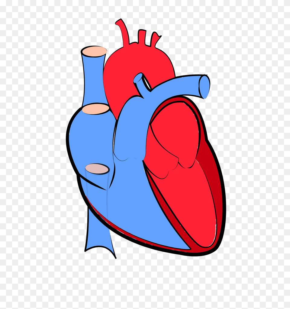 Human Heart Clipart, Water, Dynamite, Weapon Png Image
