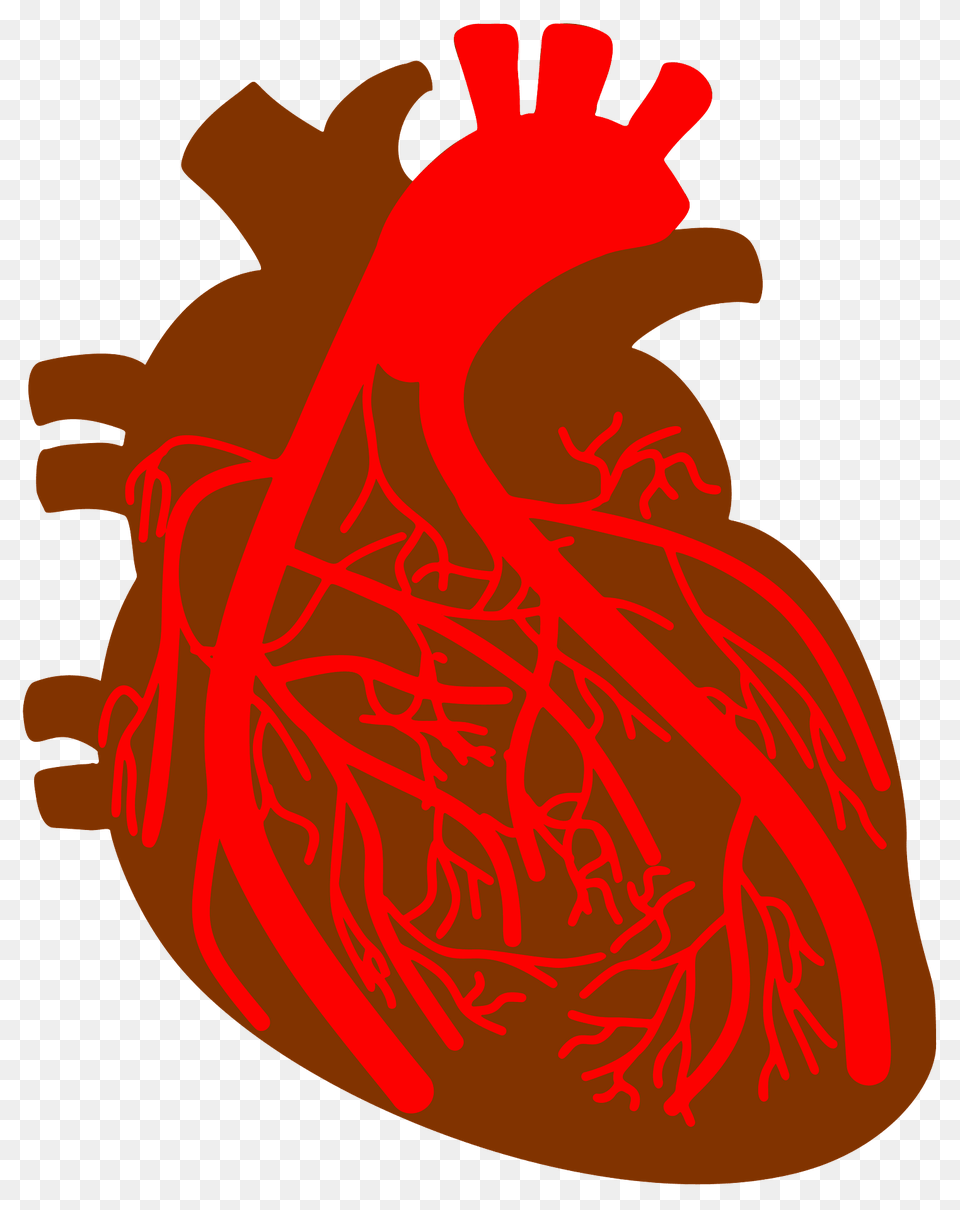 Human Heart Clipart, Dynamite, Weapon, Bag Free Png Download
