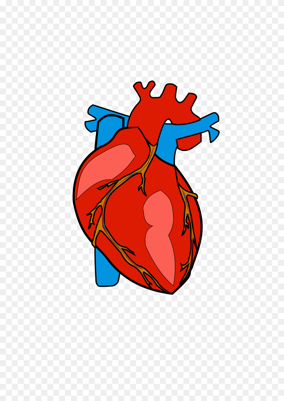 Human Heart Clipart Png Image