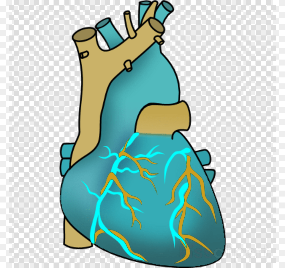 Human Heart Clipart Heart Human Body Clip Art Clip Art, Turquoise, Person, Water Free Png Download