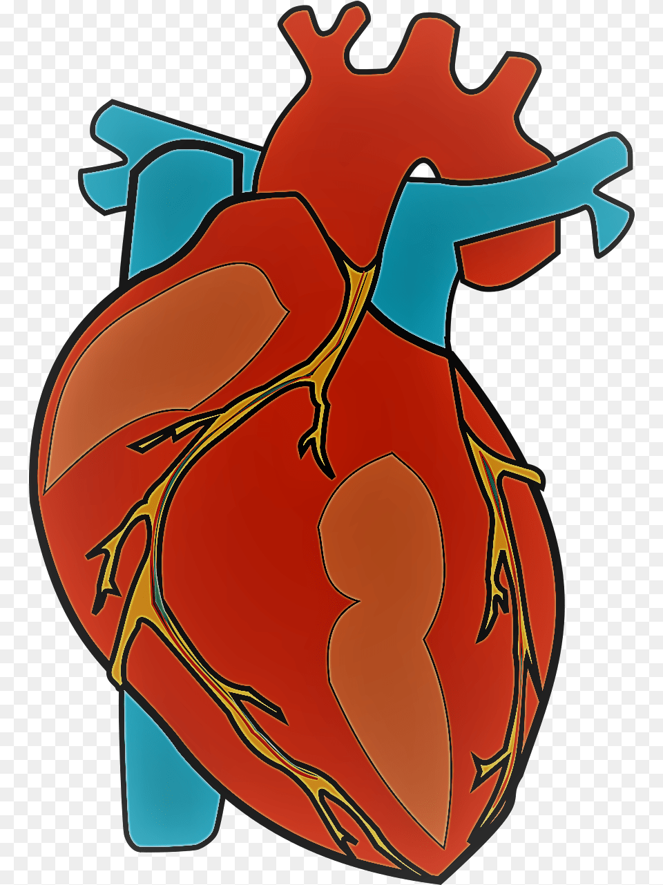Human Heart Clipart Heart Anatomy, Dynamite, Weapon Free Transparent Png