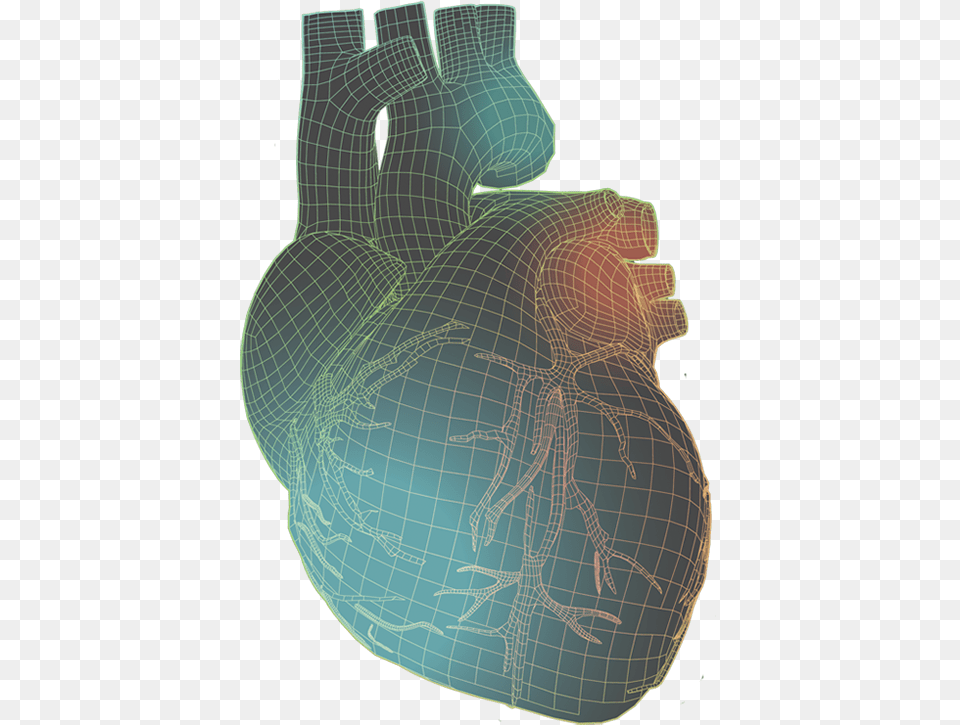 Human Heart Human Heart With Colorful Wireframe Pottery, Sphere, Diagram, Adult, Male Png