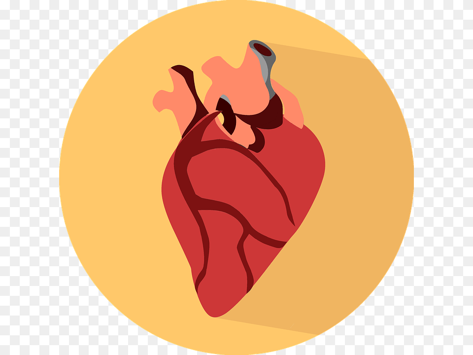 Human Heart Icon Png Image