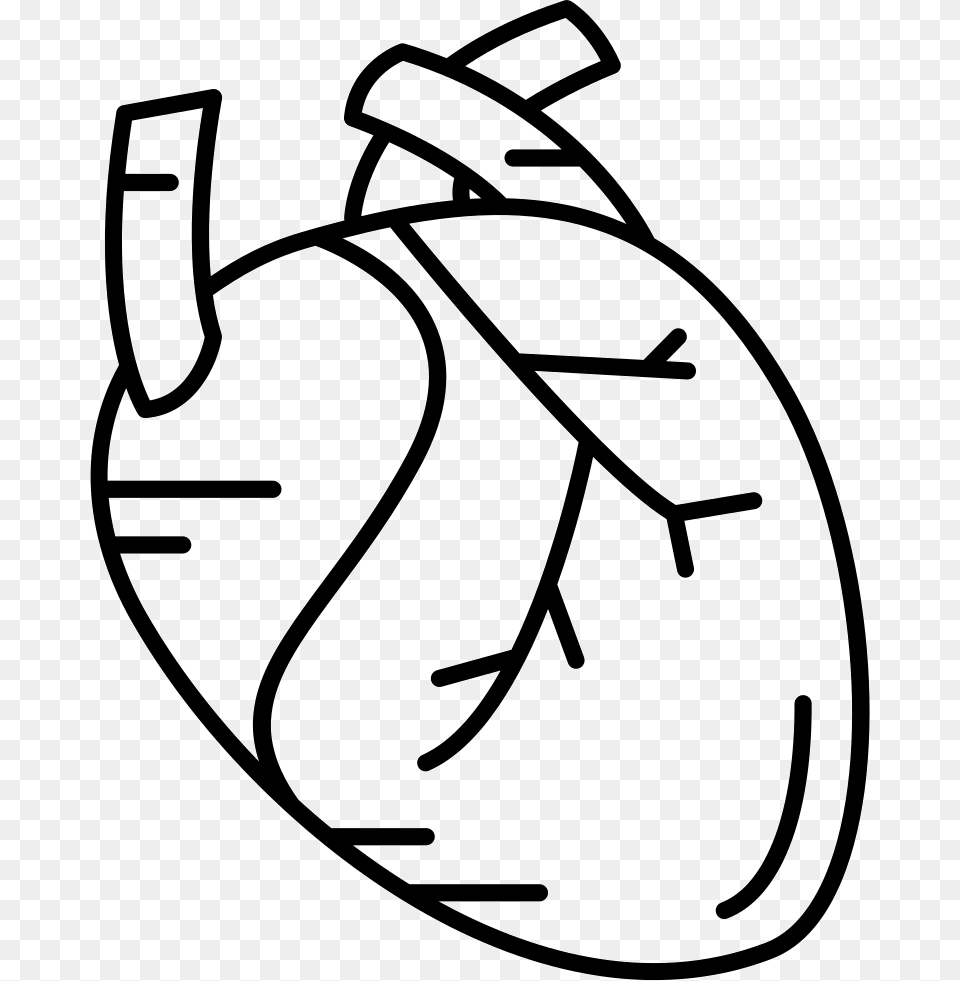 Human Heart Icon Svg, Ammunition, Grenade, Weapon, Food Png Image