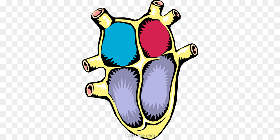 Human Heart Royalty Vector Clip Art Illustration, Animal, Reptile, Sea Life, Tortoise Free Png