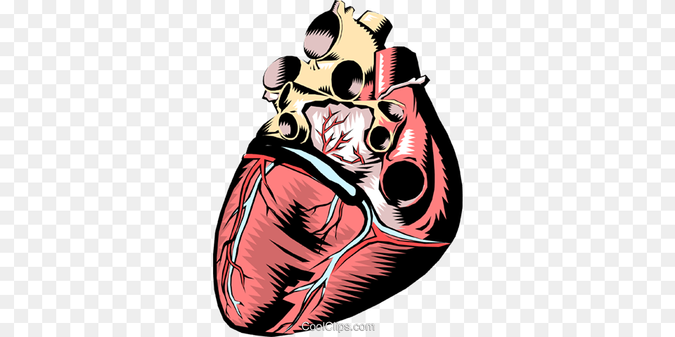 Human Heart Royalty Vector Clip Art Illustration Characteristic Function Of Cardiac Muscle, Person, Book, Comics, Publication Free Transparent Png