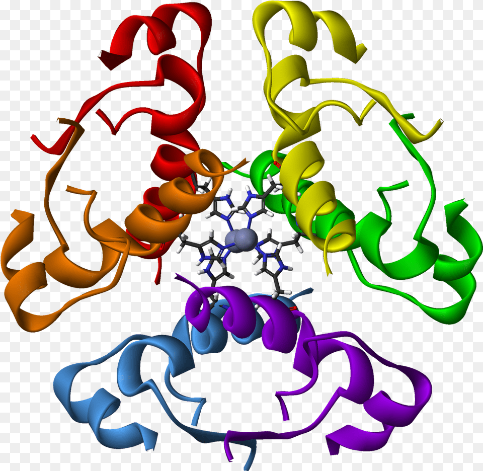 Human Insulin Hexamer 3d Ribbons Human Insulin Protein Structure, Art, Graphics, Pattern, Light Free Png