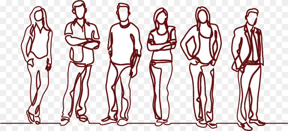 Human Line Vector, Adult, Person, Man, Male Free Transparent Png