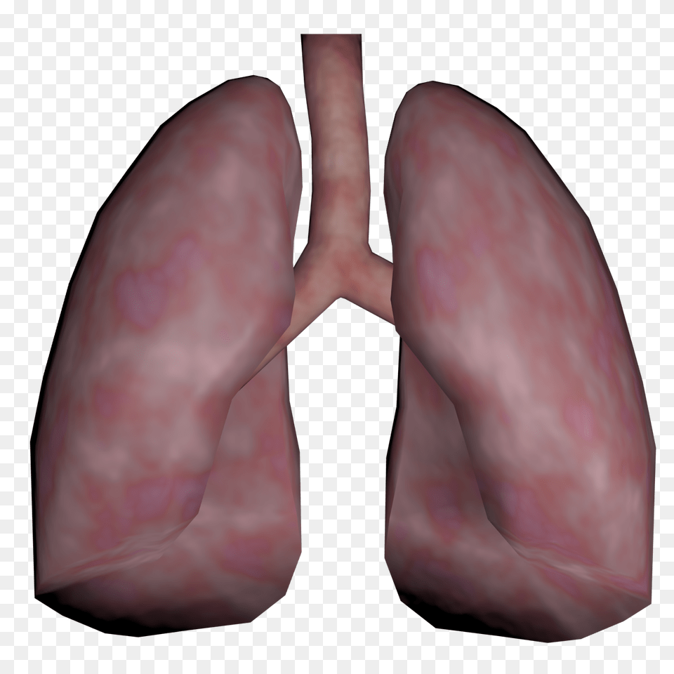 Human Lungs, Person Png Image