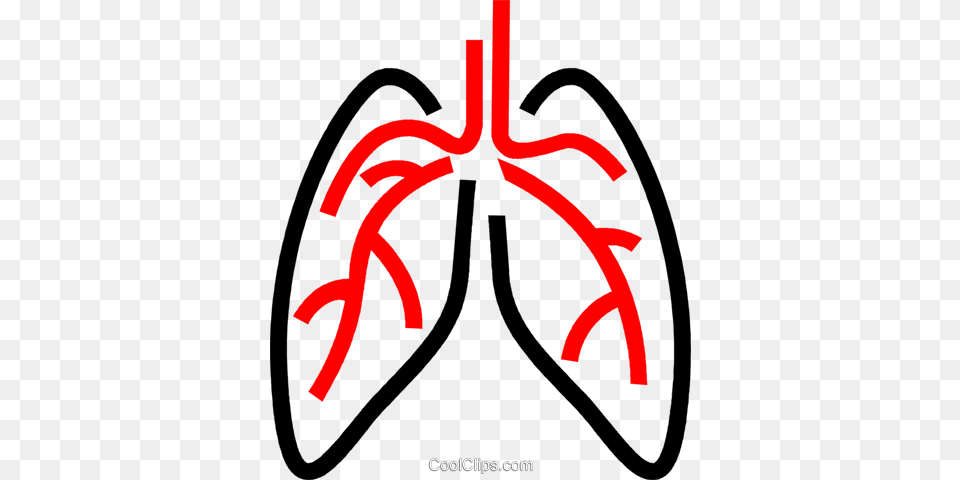 Human Lungs Royalty Free Vector Clip Art Illustration, Bow, Weapon, Head, Person Png Image