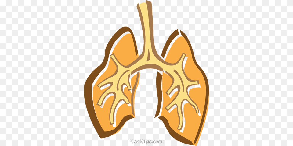 Human Lungs Royalty Vector Clip Art Illustration Free Transparent Png