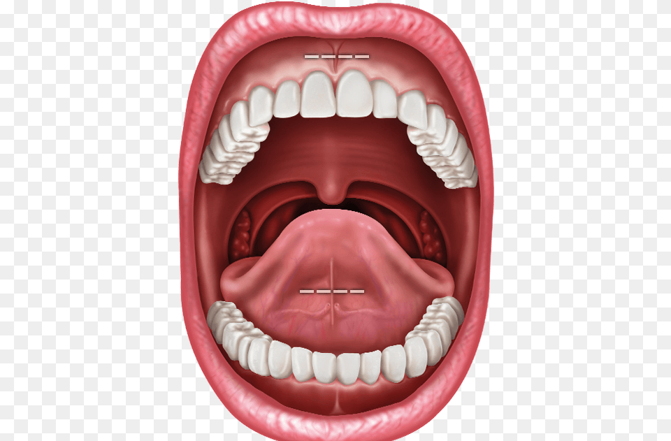 Human Mouth, Body Part, Person, Clothing, Glove Png