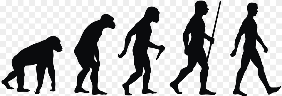 Human Nutrition Needs Human Evolution, Walking, Silhouette, Person, Adult Free Transparent Png