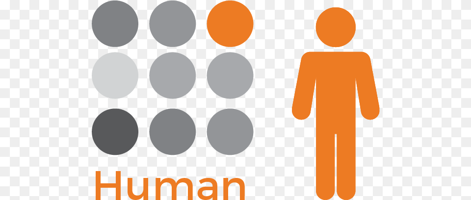 Human Orange, Body Part, Hand, Person Free Png Download