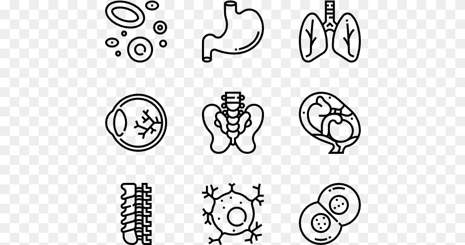 Human Organs Hand Drawn Icons, Gray Png Image