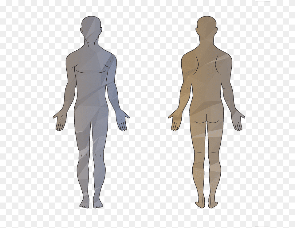 Human Outline Background Standing, Adult, Chart, Male, Man Free Png