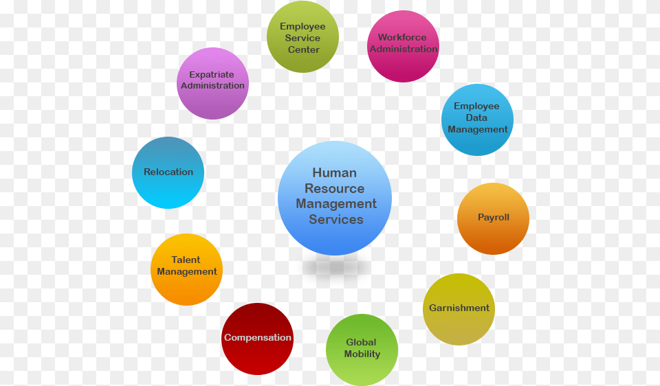Human Resource Management Life Cycle, Sphere, Disk Png