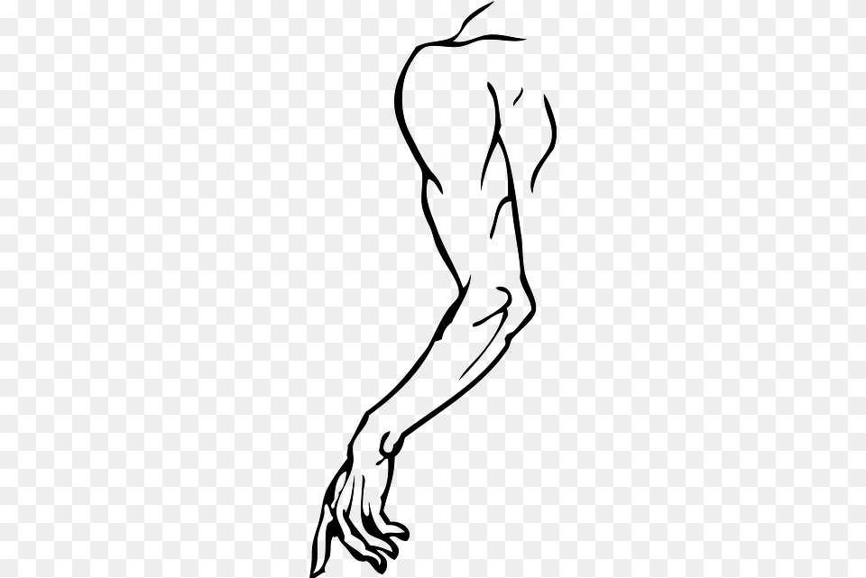 Human Silhouette At Getdrawings Human Body Left Hand, Gray Png