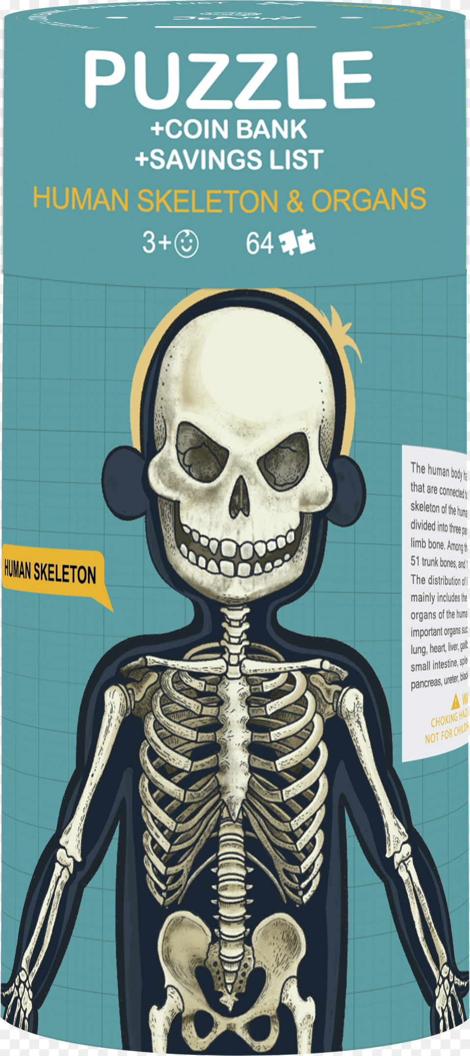 Human Skeleton Free Transparent Png