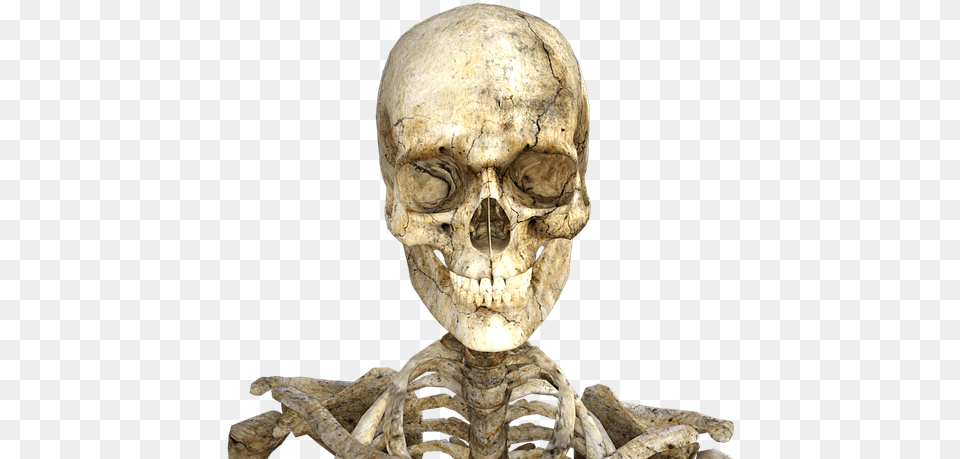 Human Skeleton, Person, Alien, Head Png Image